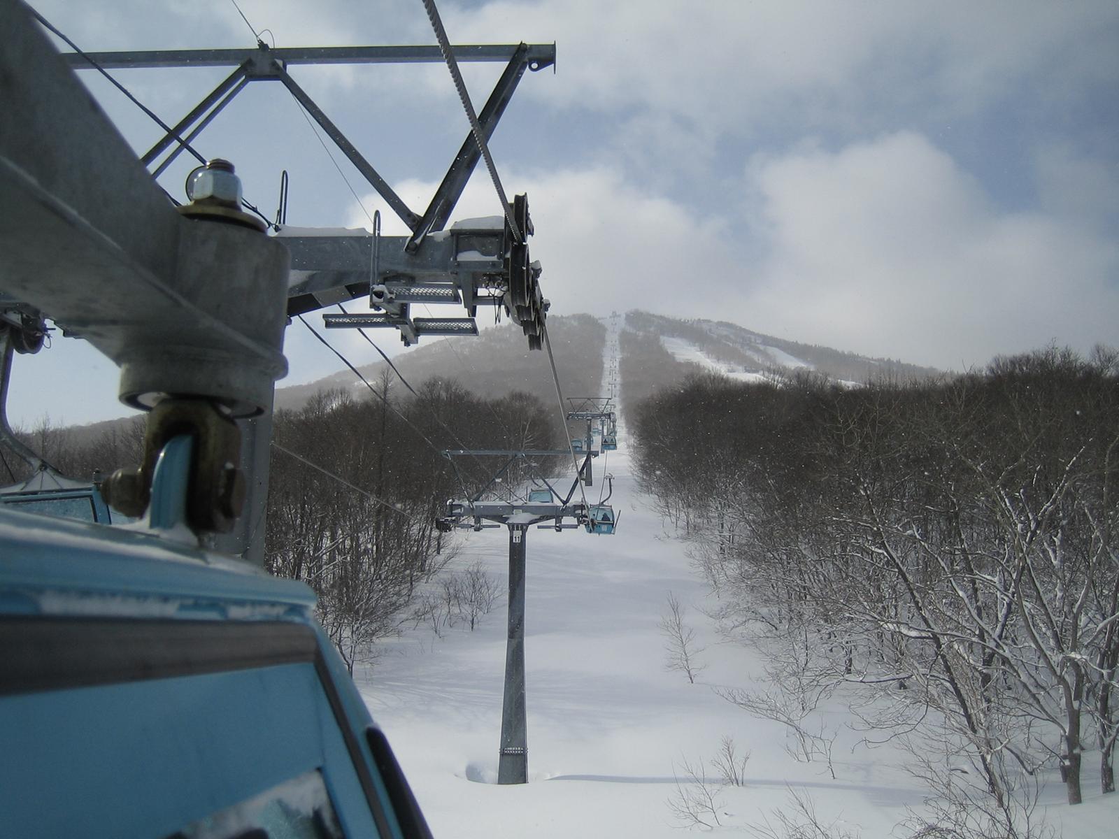安比高原長程箱型纜車 (Appi Gondola) 穿梭於白樺雪林