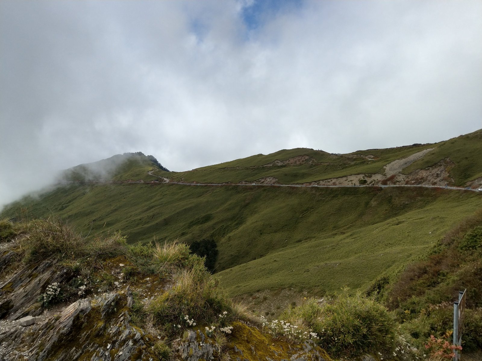 台14甲線蜿蜒於合歡山箭竹林草坡山脊稜線之壯麗全景